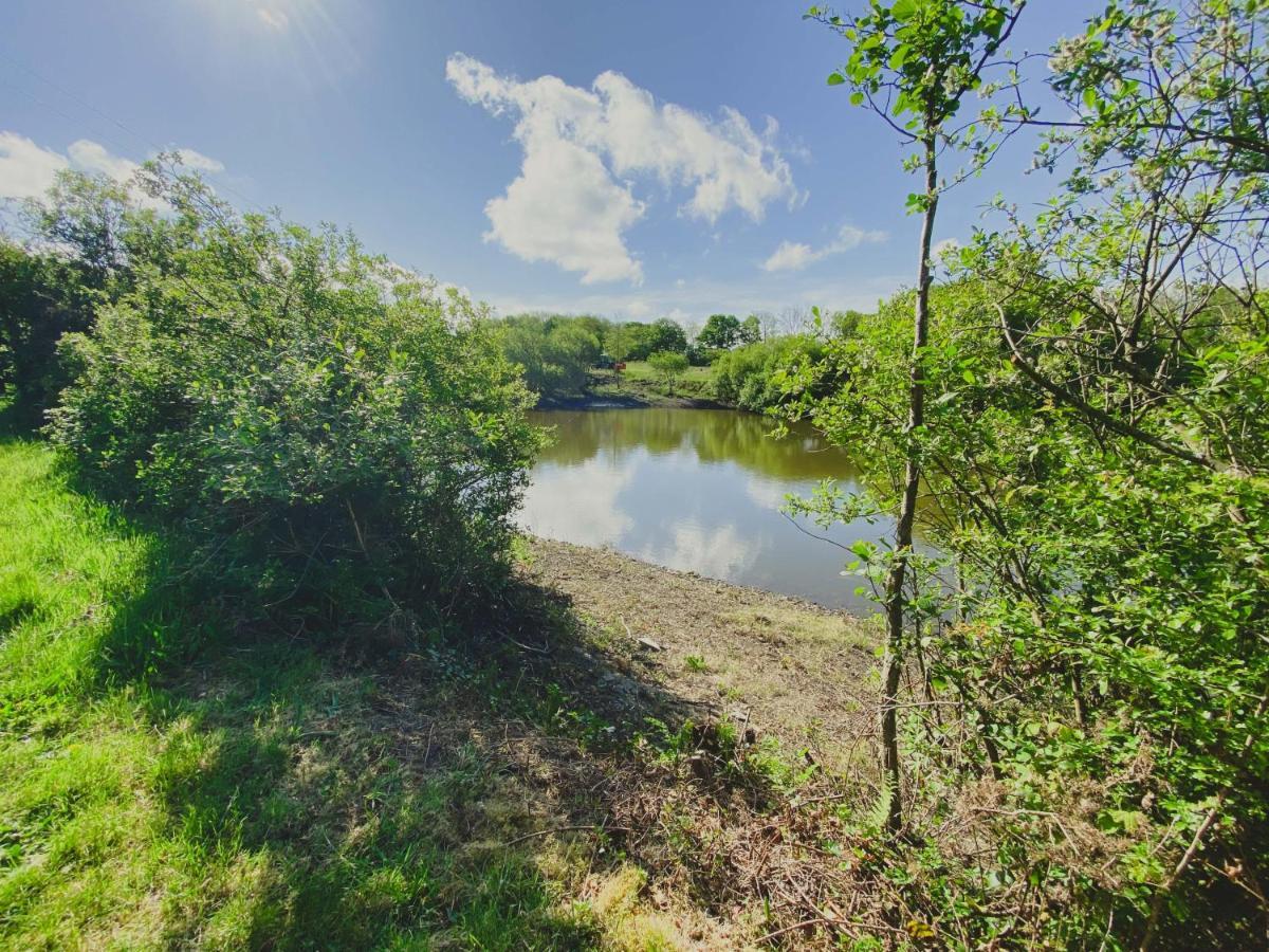 Timber Hill Self Catering Cedar Lodges Broad Haven Esterno foto