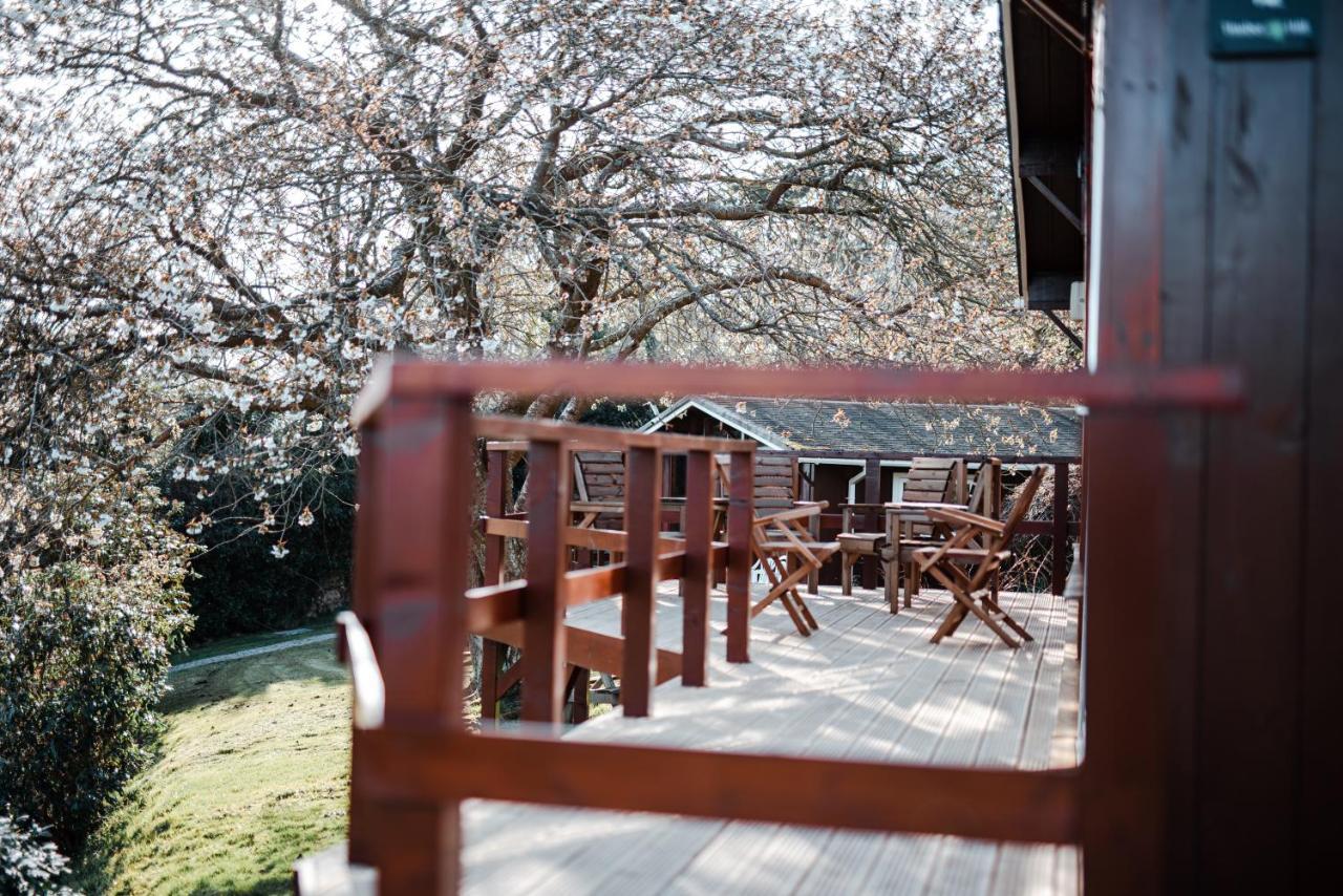 Timber Hill Self Catering Cedar Lodges Broad Haven Esterno foto