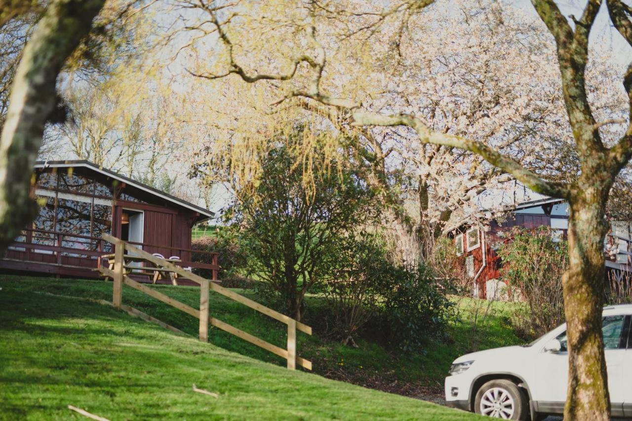 Timber Hill Self Catering Cedar Lodges Broad Haven Esterno foto