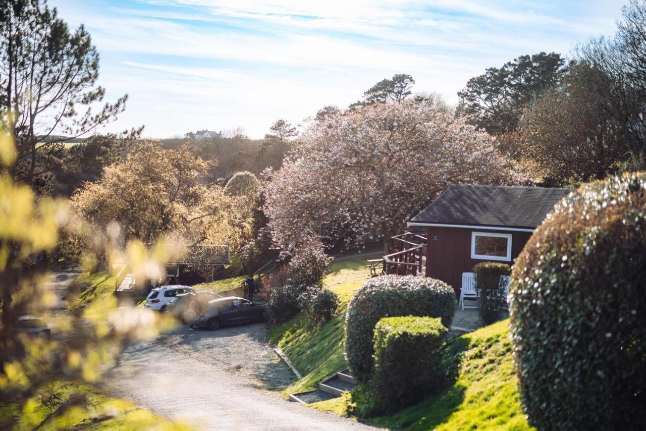 Timber Hill Self Catering Cedar Lodges Broad Haven Esterno foto