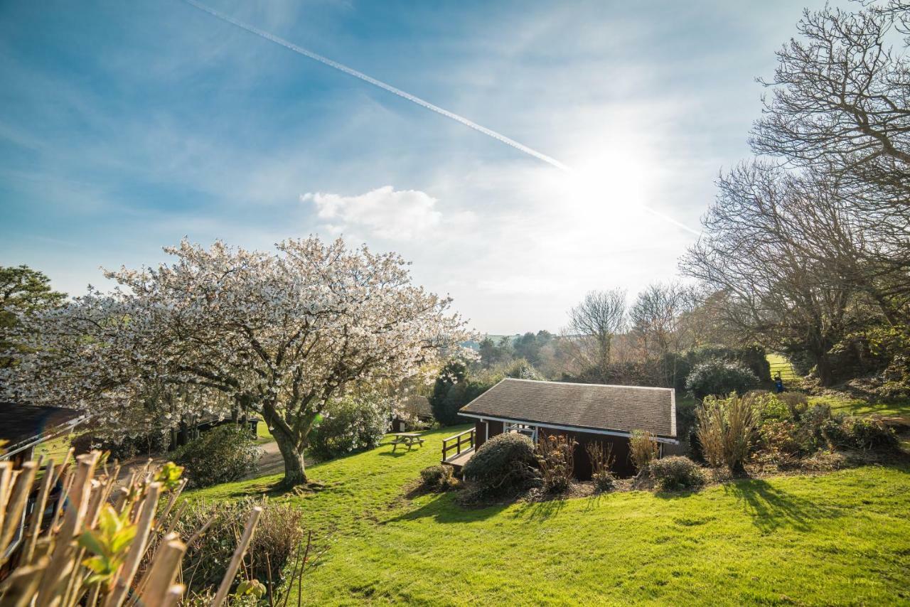 Timber Hill Self Catering Cedar Lodges Broad Haven Esterno foto